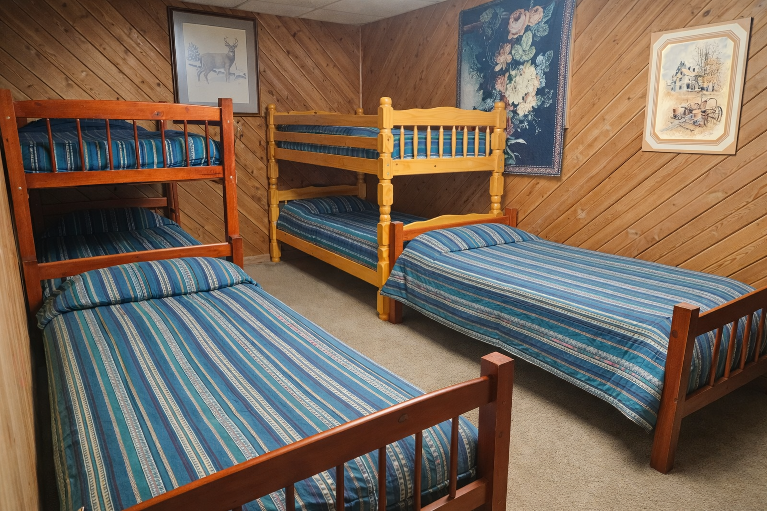 Lower level bunk room
