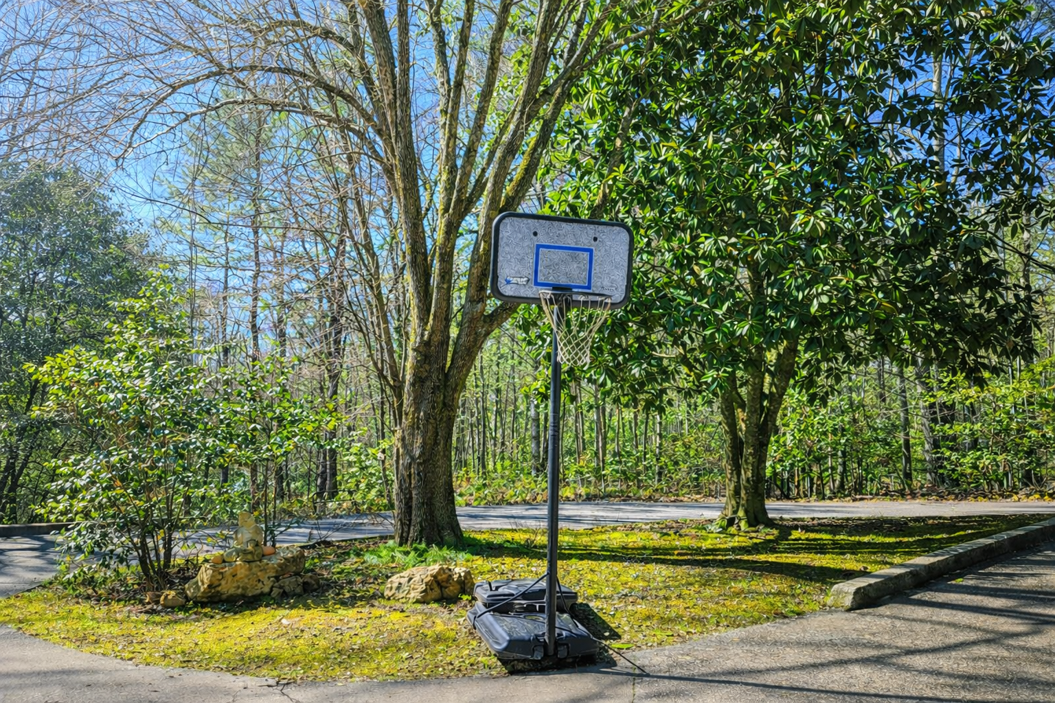 Basketball court